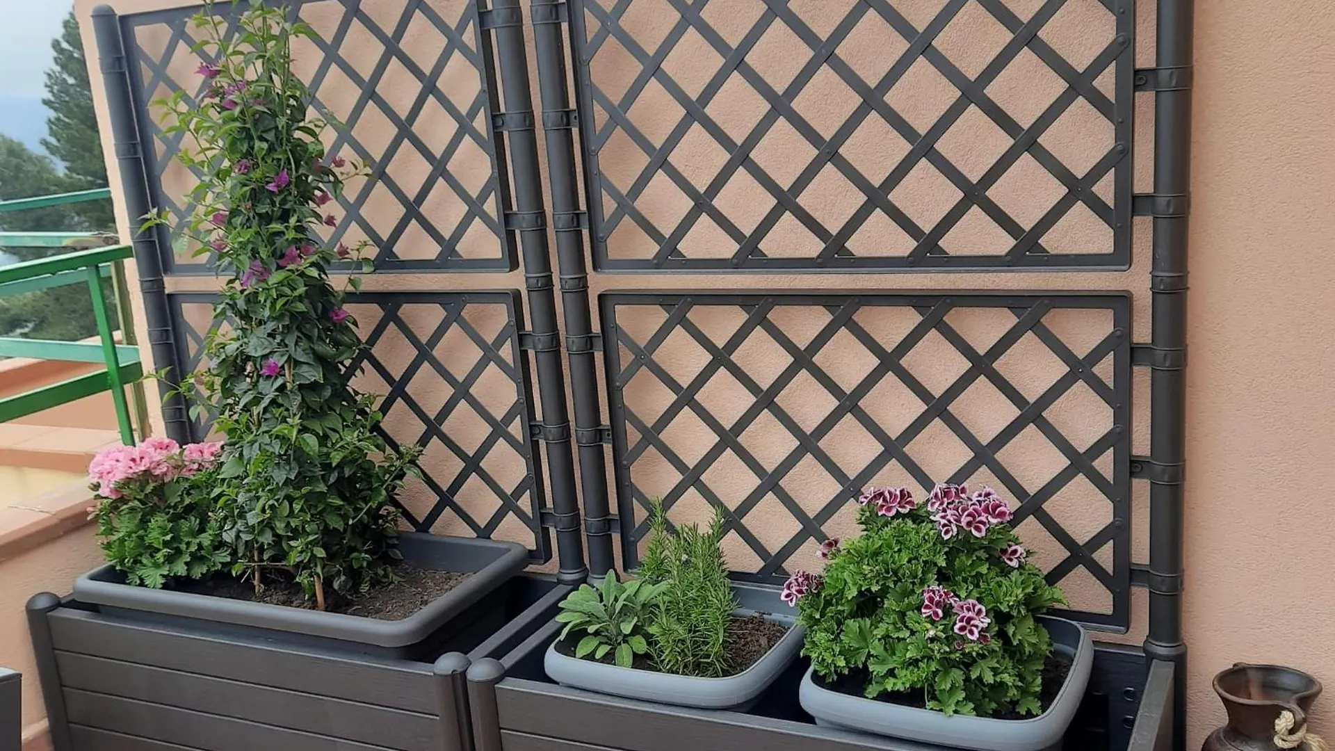 La Terrazza Sul Mare Apartment Forza d'Agro Italy